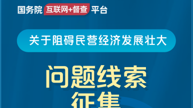 欧美操逼图国务院“互联网+督查”平台公开征集阻碍民营经济发展壮大问题线索